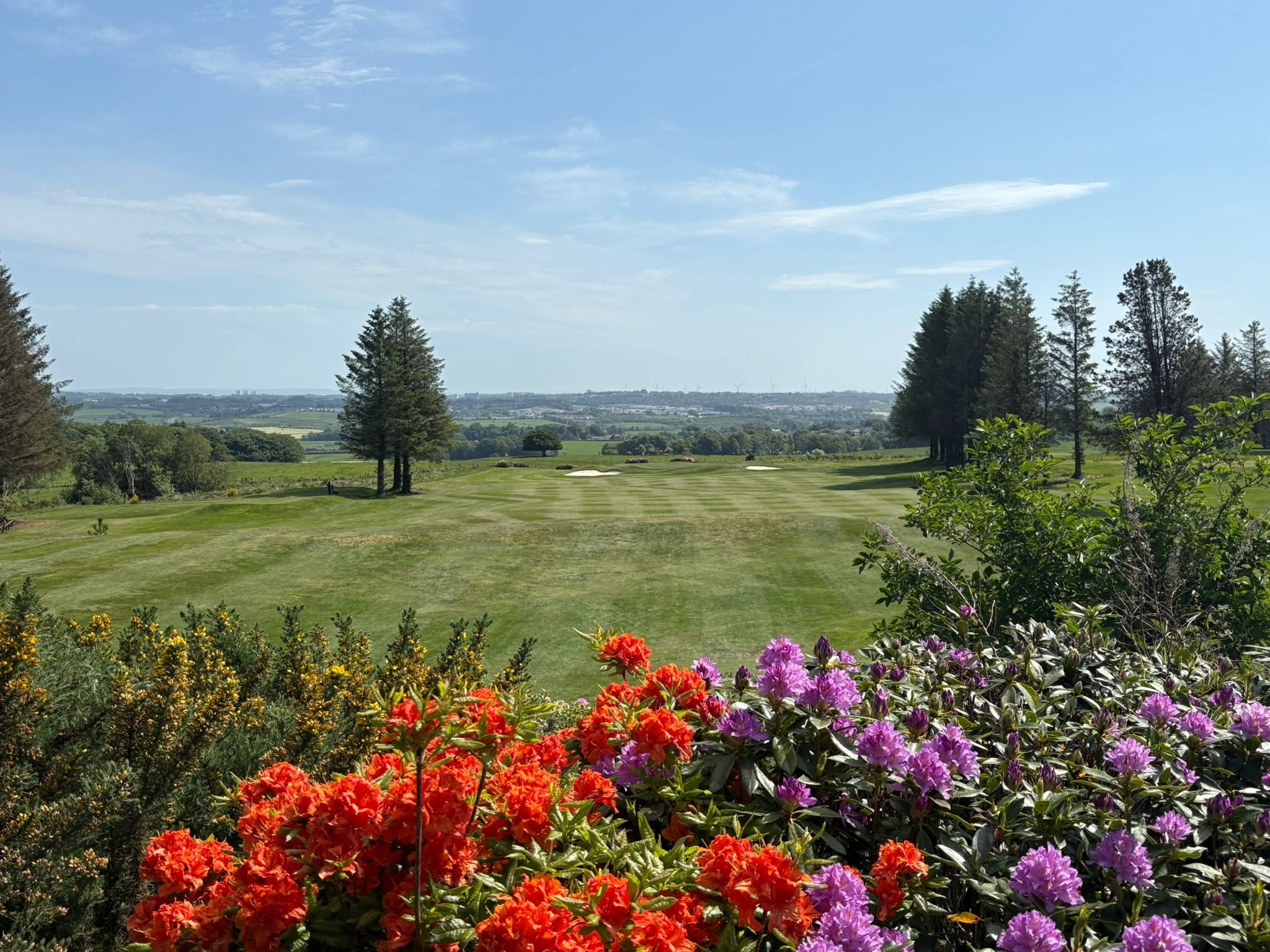 Azaleas and rhododendrons in bloom above a fairway, with views across the countryside