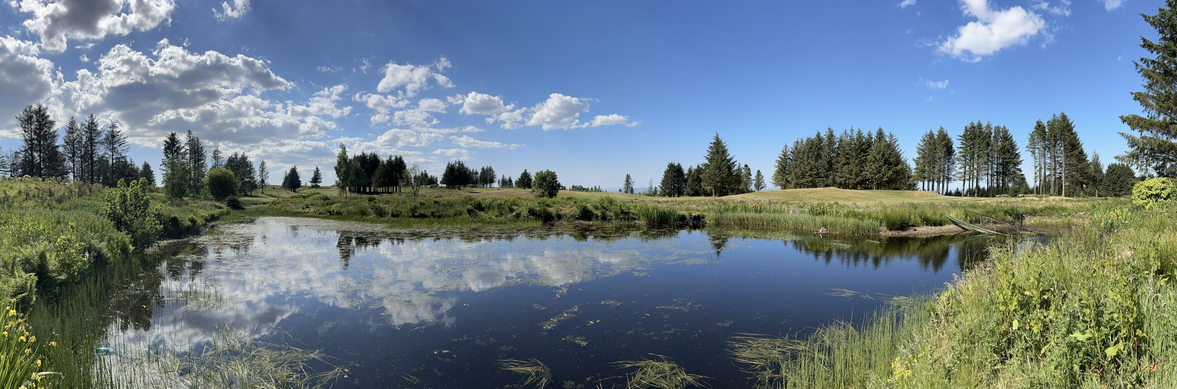 The water and tree-lined fairways at Bonnyton Golf Club