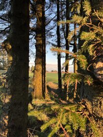Course Conditions – Bonnyton Golf Club (photo 1)